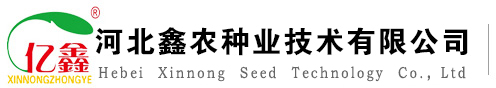 粵斯孚潤滑油